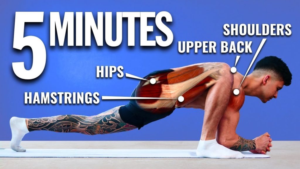 How To Unlock Your Mobility in 5 Minutes (DAILY STRETCH)