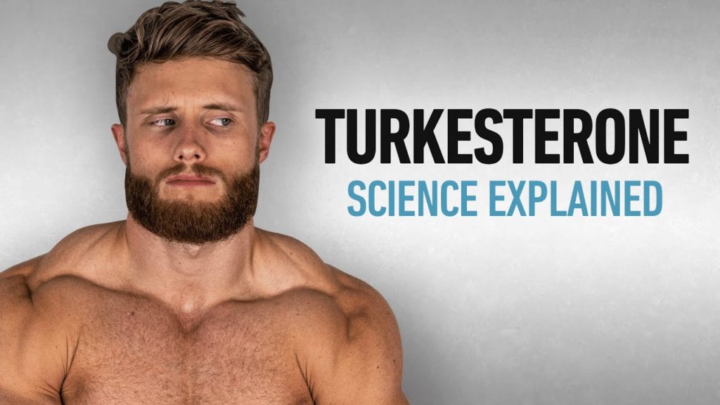 Turkesterone Explained: What’s All The Hype About?