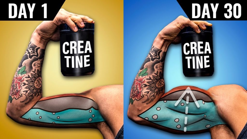 What Happens To Your Body After Taking Creatine For 30 Days?